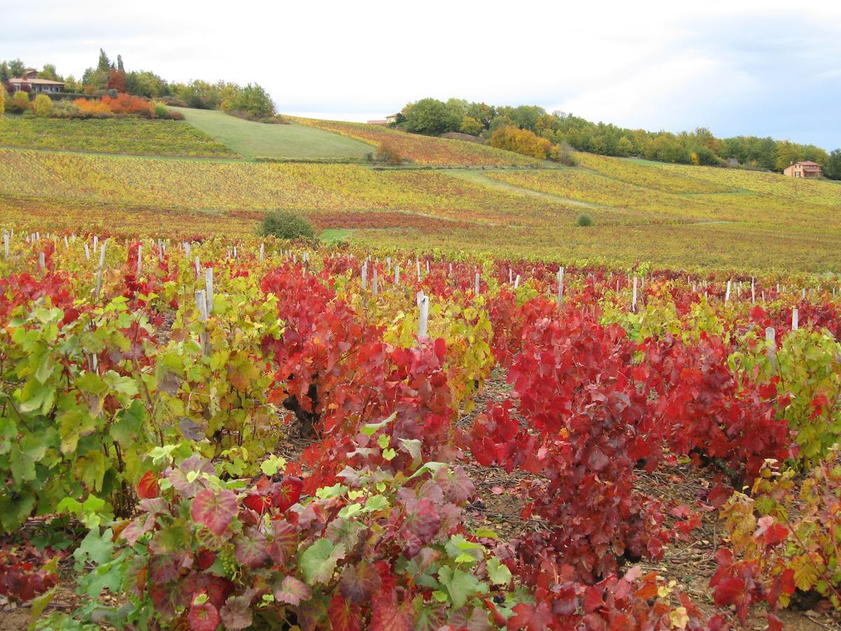 Moire Domaine Des Aloets Bed & Breakfast エクステリア 写真